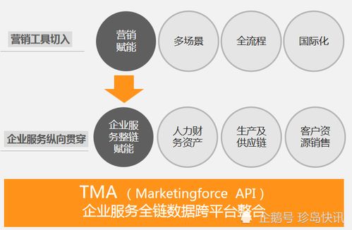 珍島視角 大數(shù)據(jù)營銷時(shí)代的核心驅(qū)動(dòng)力與數(shù)字技術(shù)服務(wù)新范式